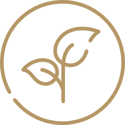 Energy healing and wellness practices designed to restore harmony and support lasting personal growth