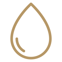 Personal transformation journey focused on healing, empowerment, and conscious living